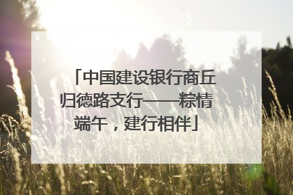 中国建设银行商丘归德路支行——粽情端午，建行相伴