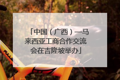 中国（广西）—马来西亚工商合作交流会在吉隆坡举办
