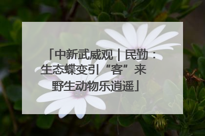 中新武威观｜民勤：生态蝶变引“客”来 野生动物乐逍遥