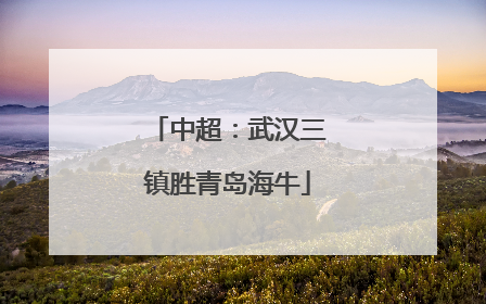 中超：武汉三镇胜青岛海牛