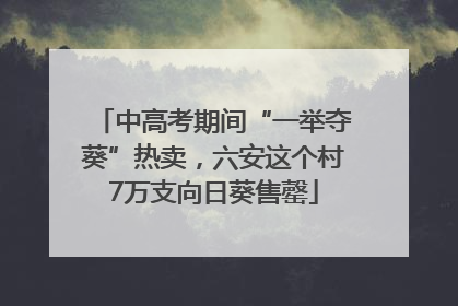 中高考期间“一举夺葵”热卖，六安这个村7万支向日葵售罄