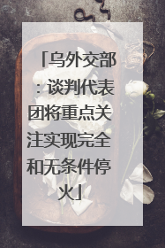 乌外交部：谈判代表团将重点关注实现完全和无条件停火