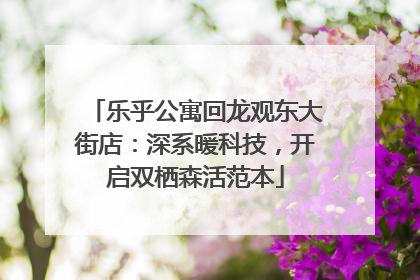 乐乎公寓回龙观东大街店：深系暖科技，开启双栖森活范本