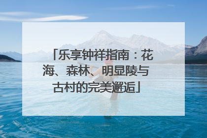 乐享钟祥指南：花海、森林、明显陵与古村的完美邂逅