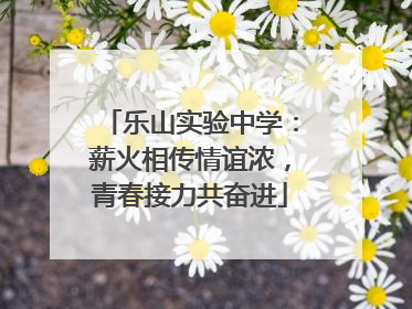 乐山实验中学：薪火相传情谊浓，青春接力共奋进