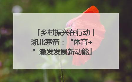 乡村振兴在行动丨湖北茅箭：“体育+”激发发展新动能