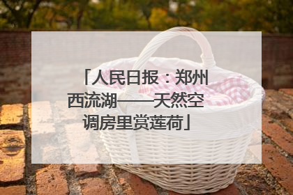 人民日报：郑州西流湖——天然空调房里赏莲荷