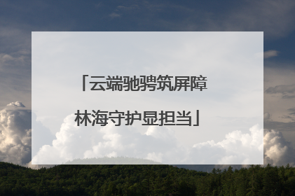 云端驰骋筑屏障 林海守护显担当