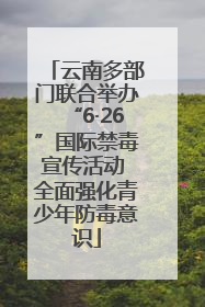 云南多部门联合举办“6·26”国际禁毒宣传活动 全面强化青少年防毒意识