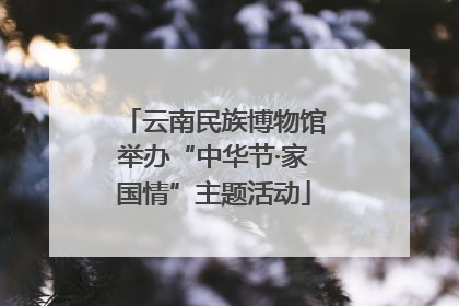 云南民族博物馆举办“中华节·家国情”主题活动