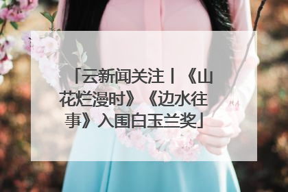 云新闻关注丨《山花烂漫时》《边水往事》入围白玉兰奖