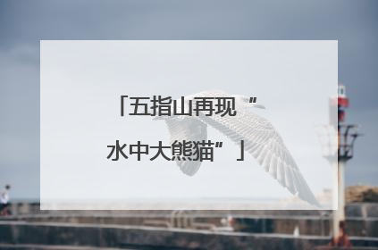 五指山再现“水中大熊猫”