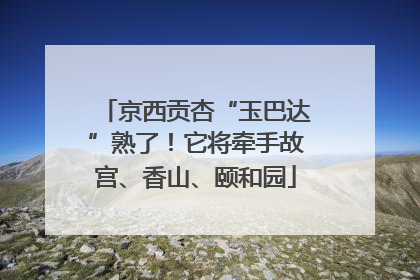 京西贡杏“玉巴达”熟了！它将牵手故宫、香山、颐和园