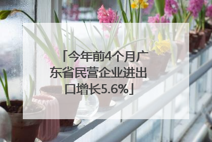 今年前4个月广东省民营企业进出口增长5.6%