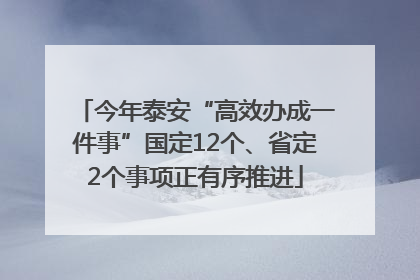 今年泰安“高效办成一件事”国定12个、省定2个事项正有序推进