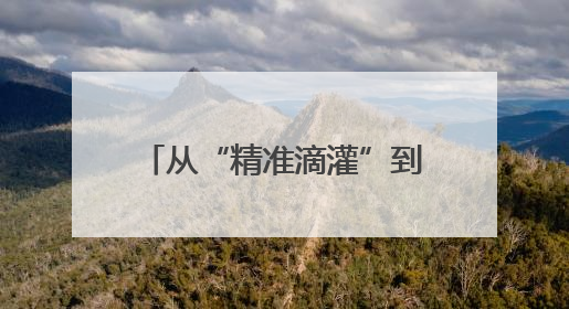 从“精准滴灌”到“全链护航” 四川朝天擦亮营商环境“金字招牌”