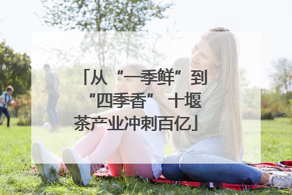 从“一季鲜”到“四季香” 十堰茶产业冲刺百亿