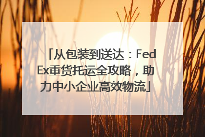 从包装到送达：FedEx重货托运全攻略，助力中小企业高效物流