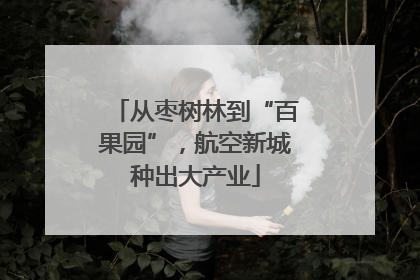 从枣树林到“百果园”，航空新城种出大产业