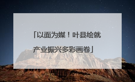以面为媒！叶县绘就产业振兴多彩画卷