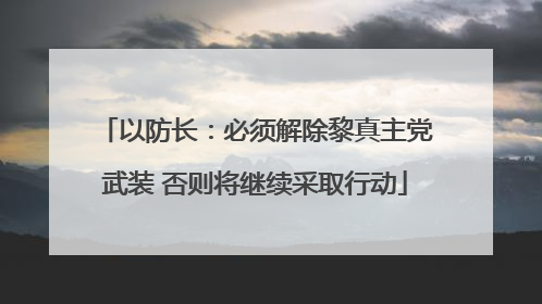 以防长：必须解除黎真主党武装 否则将继续采取行动
