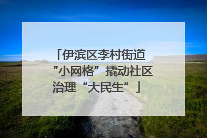 伊滨区李村街道 “小网格”撬动社区治理“大民生”