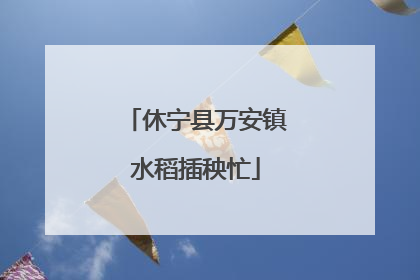 休宁县万安镇水稻插秧忙