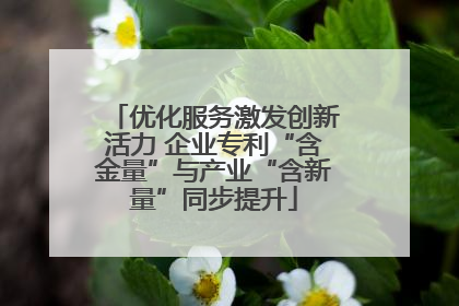 优化服务激发创新活力 企业专利“含金量”与产业“含新量”同步提升