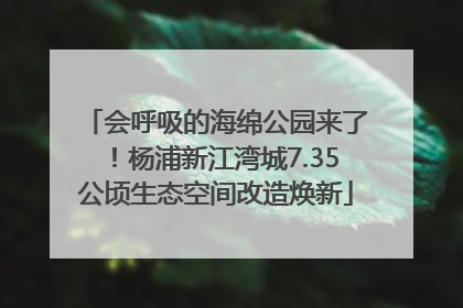 会呼吸的海绵公园来了！杨浦新江湾城7.35公顷生态空间改造焕新