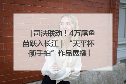 司法联动！4万尾鱼苗跃入长江｜“天平杯·随手拍”作品展播