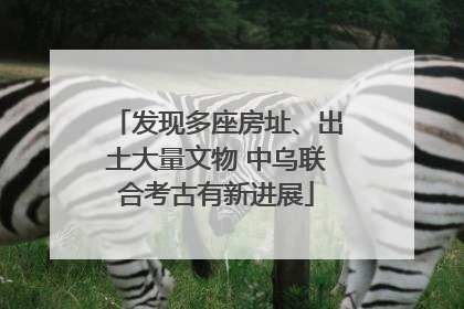 发现多座房址、出土大量文物 中乌联合考古有新进展