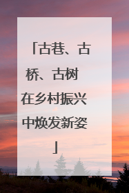 古巷、古桥、古树 在乡村振兴中焕发新姿