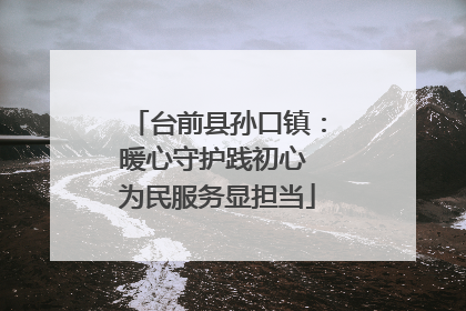 台前县孙口镇：暖心守护践初心 为民服务显担当