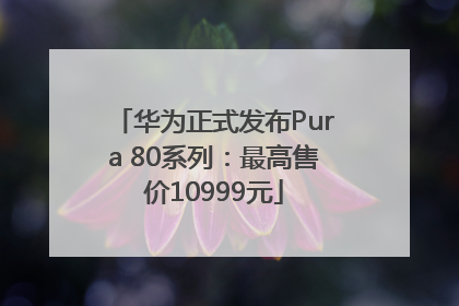 华为正式发布Pura 80系列：最高售价10999元