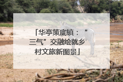 华亭策底镇：“三气”交融绘就乡村文旅新图景