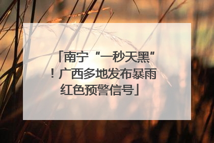 南宁“一秒天黑”！广西多地发布暴雨红色预警信号