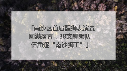 南沙区首届醒狮表演赛圆满落幕，38支醒狮队伍角逐“南沙狮王”