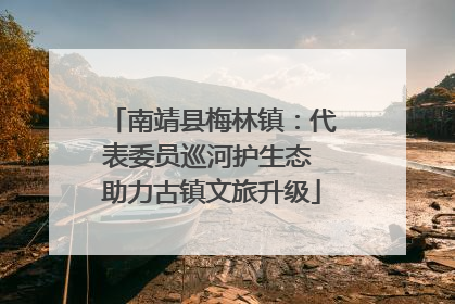 南靖县梅林镇：代表委员巡河护生态 助力古镇文旅升级