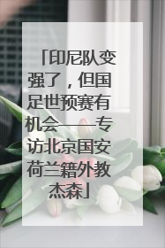 印尼队变强了，但国足世预赛有机会——专访北京国安荷兰籍外教杰森