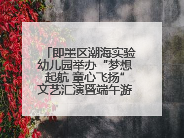 即墨区潮海实验幼儿园举办“梦想起航 童心飞扬”文艺汇演暨端午游园会活动