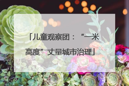 儿童观察团：“一米高度”丈量城市治理