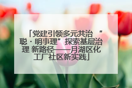 党建引领多元共治 “聪・明事理”探索基层治理 新路径——月湖区化工厂社区新实践