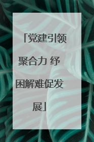 党建引领聚合力 纾困解难促发展