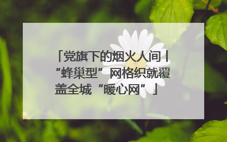 党旗下的烟火人间丨“蜂巢型”网格织就覆盖全城“暖心网”