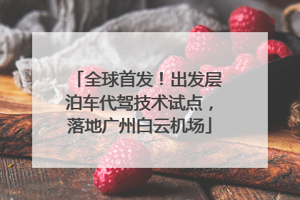 全球首发！出发层泊车代驾技术试点，落地广州白云机场