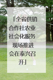 全省供销合作社农业社会化服务 现场推进会在泰兴召开