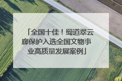 全国十佳！蜀道翠云廊保护入选全国文物事业高质量发展案例
