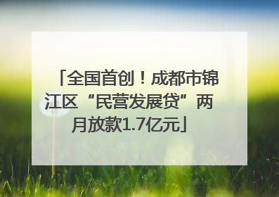 全国首创！成都市锦江区“民营发展贷”两月放款1.7亿元