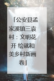公安县孟家溪镇三袁村：文明花开 绘就和美乡村新画卷