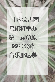 内蒙古西乌旗将举办第三届草原99号公路音乐那达慕